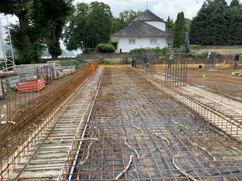SEDOS_MEINRHEINII_Rohbau_1